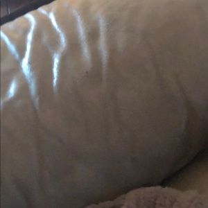 Meet your Posher, Carly